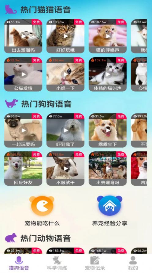 Bobo Katzen- und Hunde-Sprach-App