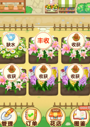 Open a flower shop game