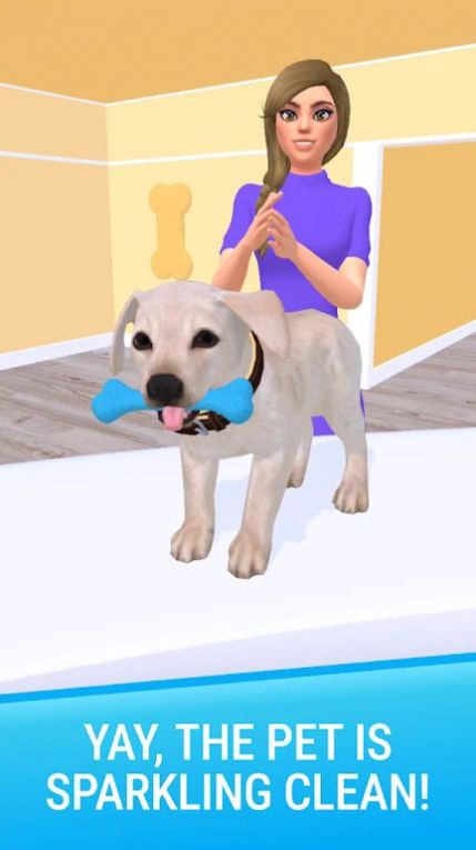 Pet Salon DIY Game