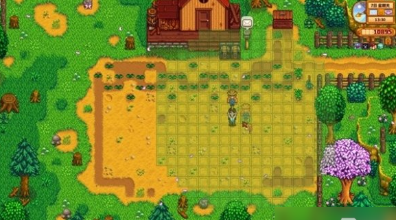 Stardew Valley