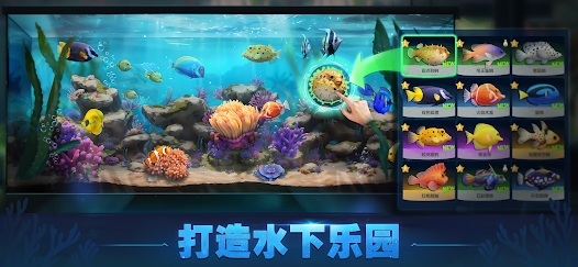 Top Fish游戏