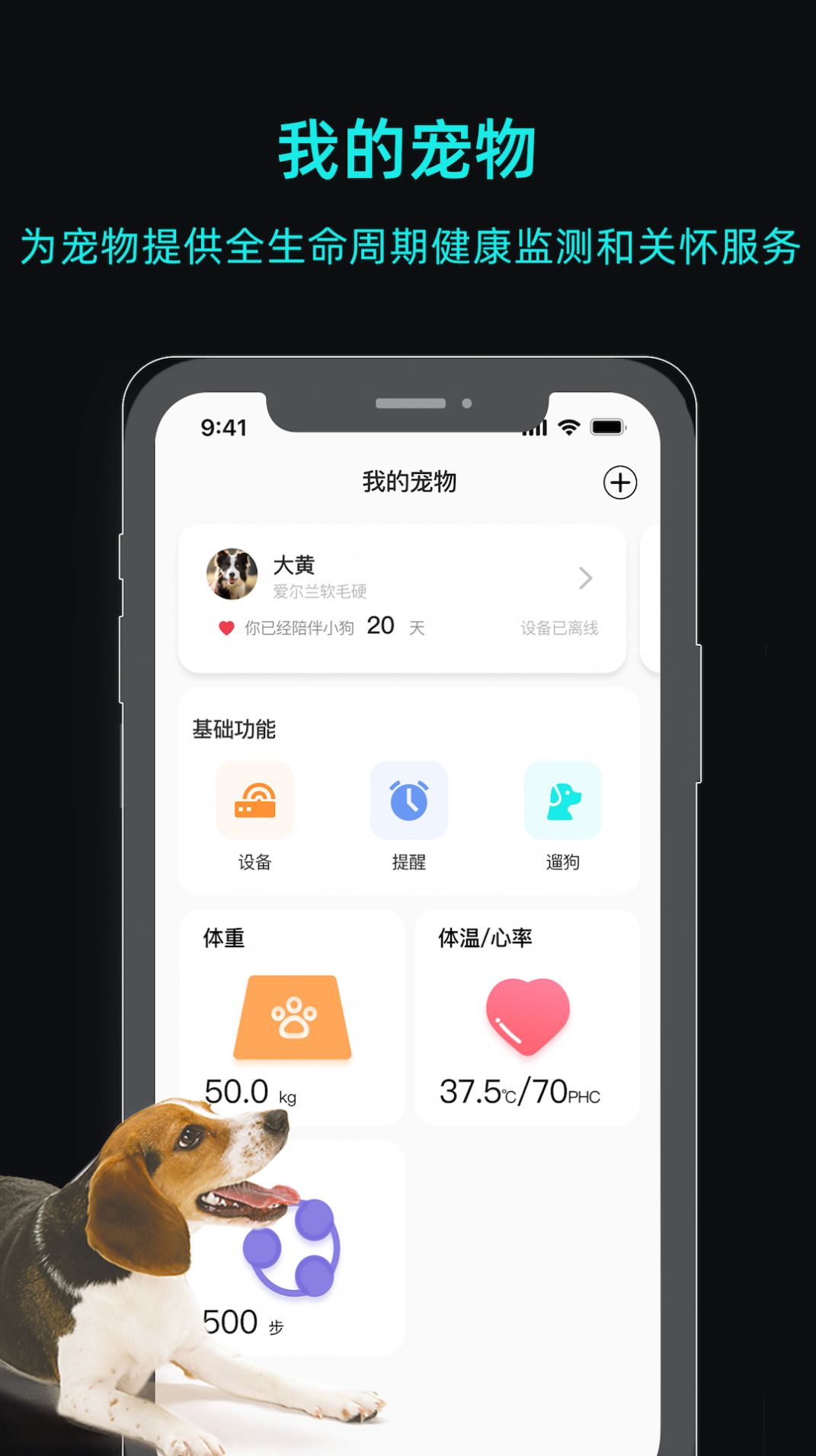 一聪小白app