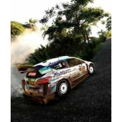 WRC The Game