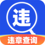 驾驶违章查询app