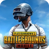 pubg安卓中文版