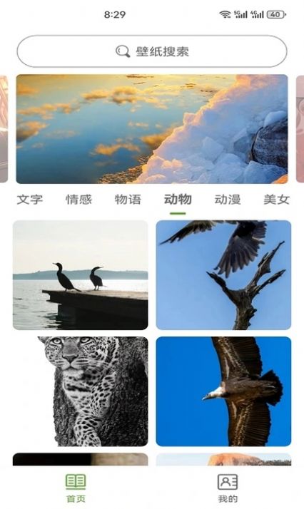 白叶壁纸app