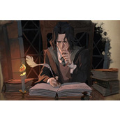 Harry Potter: Magical Awakening: The Shadowless Illustrated Book