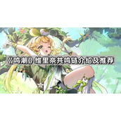 鸣潮维里奈共鸣链怎么升