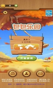 Bag Paradise Game