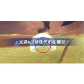 光遇6.3珍珠代币在哪里