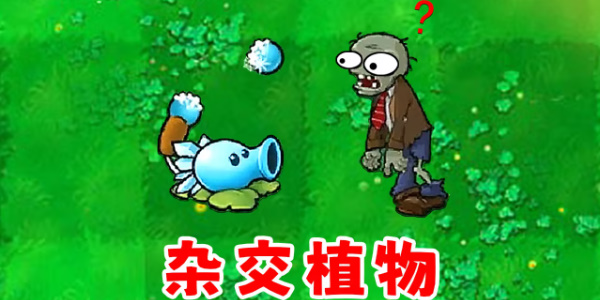 การตั้งค่าภาษาไฮบริดของ Plants vs. Zombies