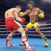 Boxing Star Showdown Mobile-Version