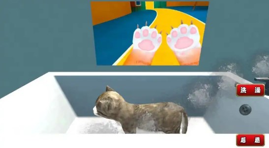 Cat daily simulation game