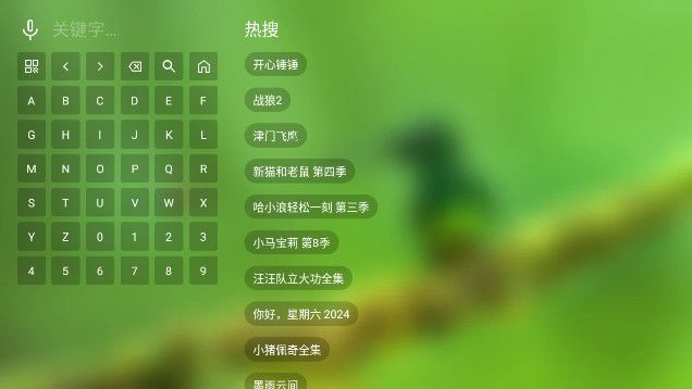 FM影视TV版app