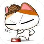 Cozy Cat Moments-App