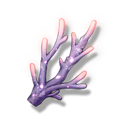 What are the uses of Mingtide Purple Coral?