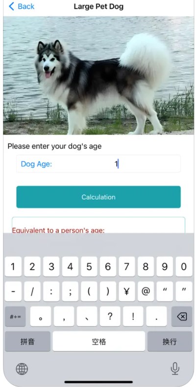 Application de calcul de l'âge des animaux de compagnie