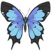 What is the use of the songtide blue feather butterfly?