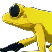 What is the use of the golden-backed frog?