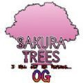 Sakura Trees中文版