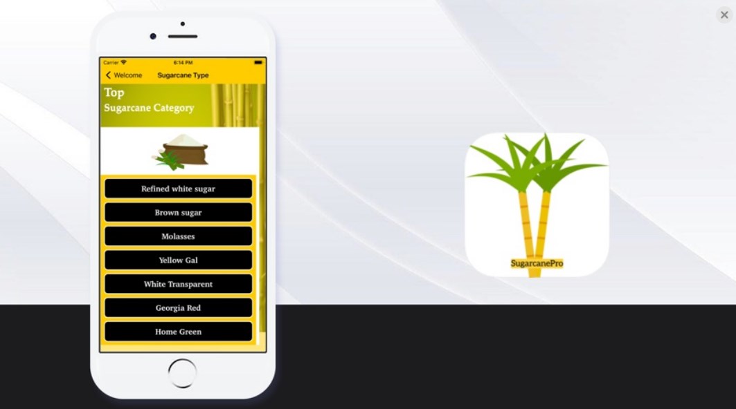 Sucrose Career 2024 เวอร์ชั่นล่าสุด