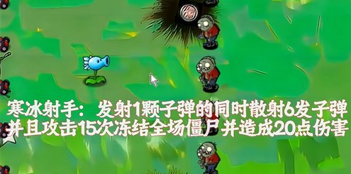 植物大战僵尸风韵版