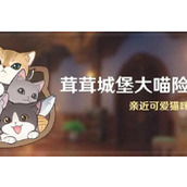 Genshin Rong Rong Castle Cat Adventure Activities Guide