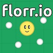 florrio游戏