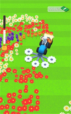 flower farmer