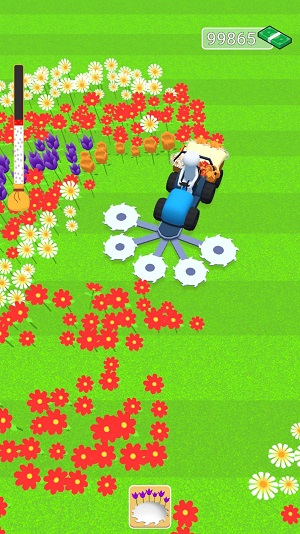 Flower Farm latest version