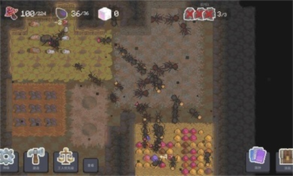 Ant Colony Simulator 2 Chinese version