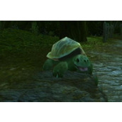 Comment obtenir les pièces de transmogrification Turtle Server dans World of Warcraft