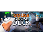 Details of how to play the Space Goose and Duck Killing Party