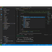 vscode