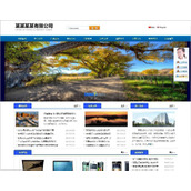 NetXin Chinese and English multi-language CMS v8.8