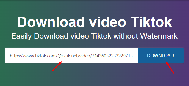 Descargador de vídeos de TikTok Python