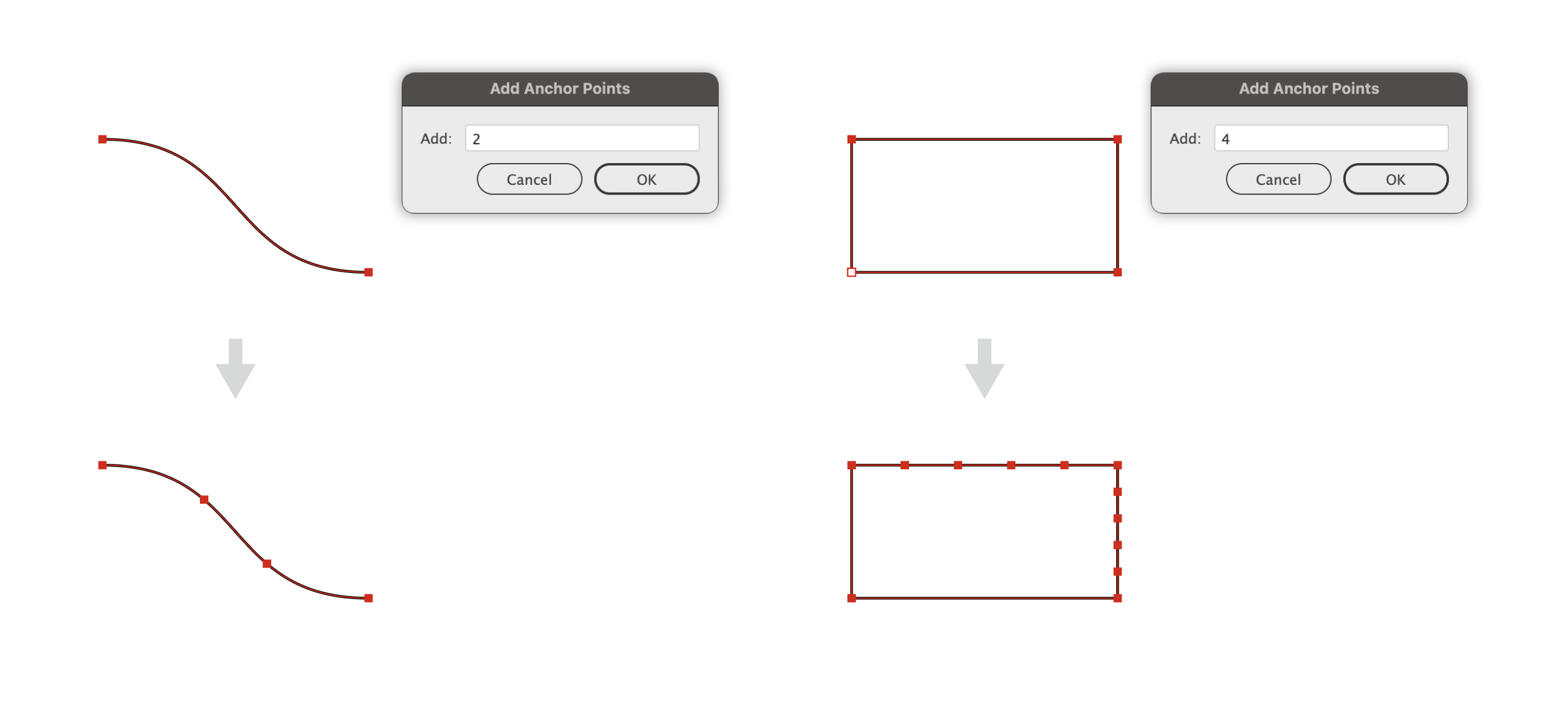 adobe 插画脚本