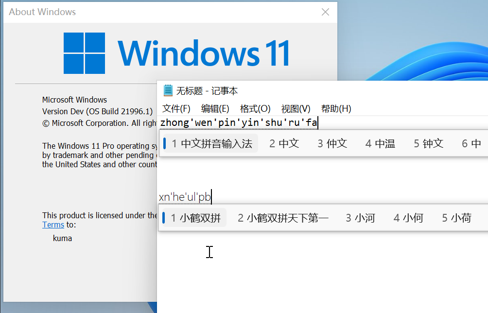 win11中文修复