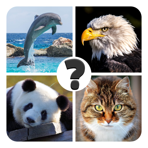 Quiz sur les animaux - devinez un animal