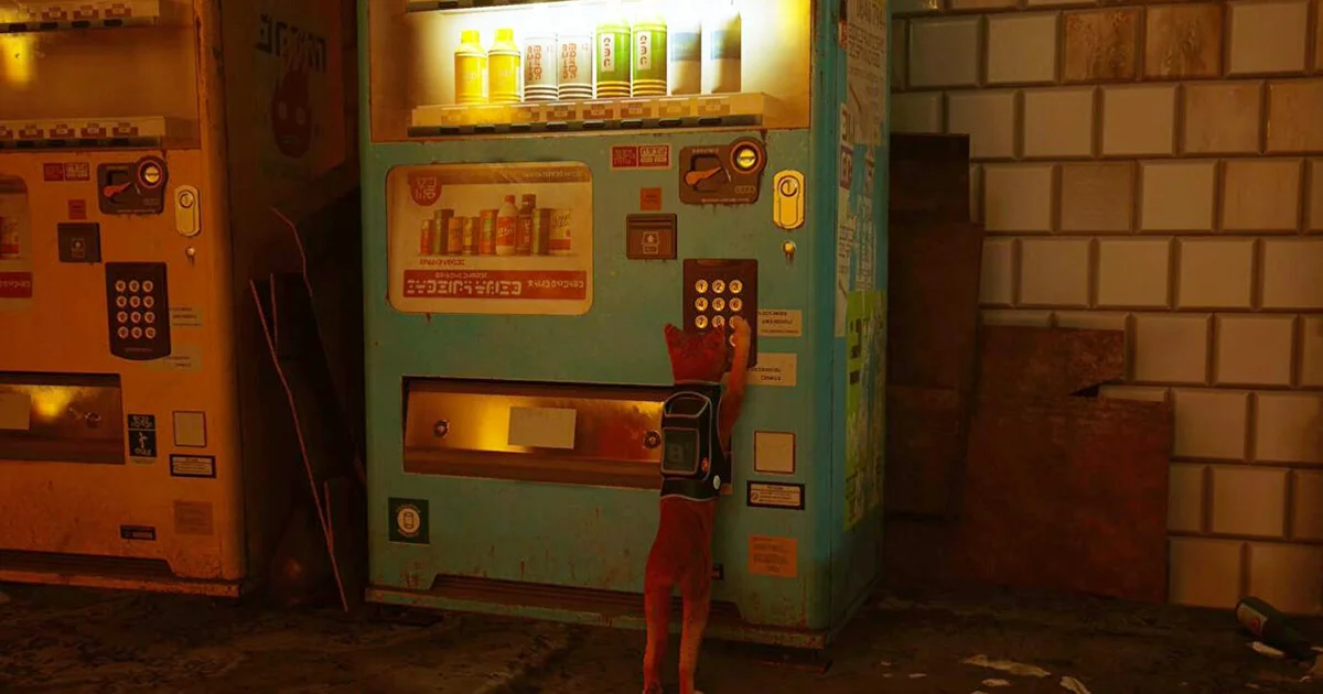 所有 Stray 能量飲料地點