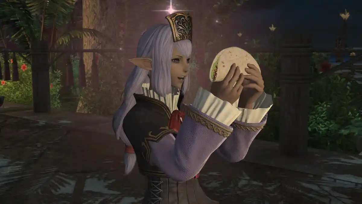 FFXIV: Echoes of Vana’diel Makes Me Nostalgic & I Don’t Even Play FFXI