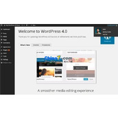 WordPress v5.8 Beta1