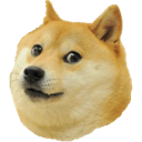 doge