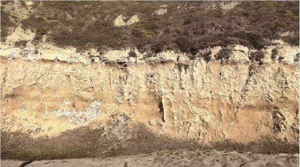 ล้มล้างการสร้างภาพยนตร์และโทรทัศน์! Odyssey เปิดตัวเทคโนโลยีการสร้าง AI แบบเรียลไทม์ด้วยเงินทุน 18 ล้านดอลลาร์สหรัฐ นำเสนอเอฟเฟ็กต์ภาพระดับฮอลลีวูด