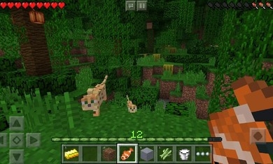 Minecraft International Edition 1.16.21v1.16.21