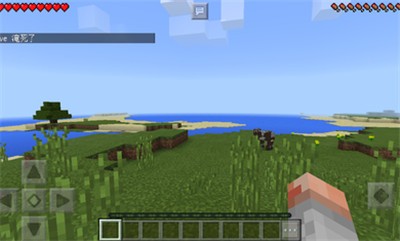 Minecraft Международная версия 1.17.40.201.17.40.20