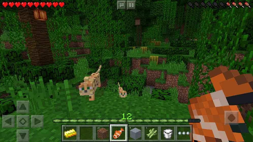 Minecraft อินเตอร์เนชั่นแนลฉบับ 1.9.0.51.14.0.68012