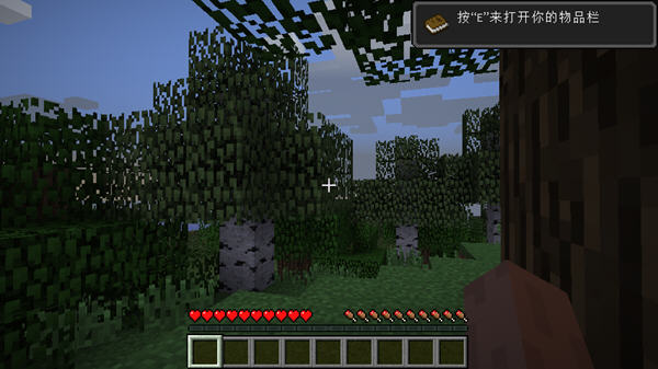 Minecraft International Edition 1.16.100.541.18.10.99153