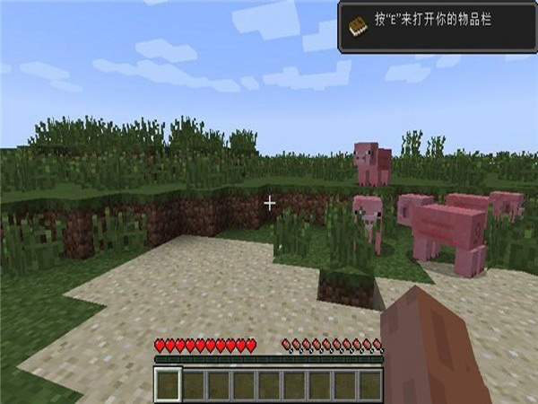 Minecraft International Edition 1.16.100.541.18.10.99153