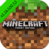 Minecraft международное издание 1.16.100.531.18.10.99153